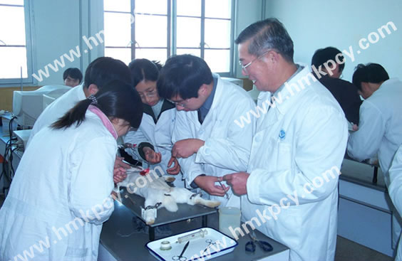 楊鳴澤和中國中醫(yī)科學院專家一起參加動物實驗.jpg