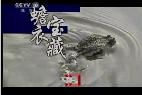 2011年5月央視《創(chuàng)新無限》蟾衣寶藏.jpg
